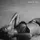 Pochette de MORNING DEW (DONK), Beyoncé