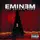 Pochette de The Eminem Show, Eminem